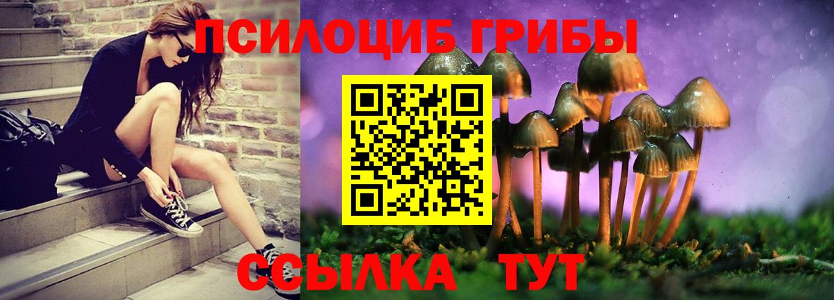 Жигулёвск  Псилоцибиновые грибы прущие грибы  Вход с VPN  Псилоцибиновые грибы мицелий 